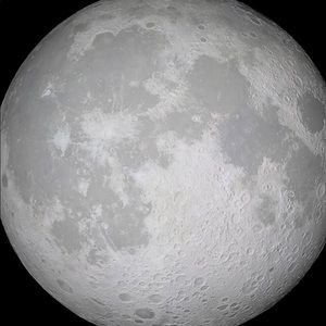 Meet your Posher, Sean